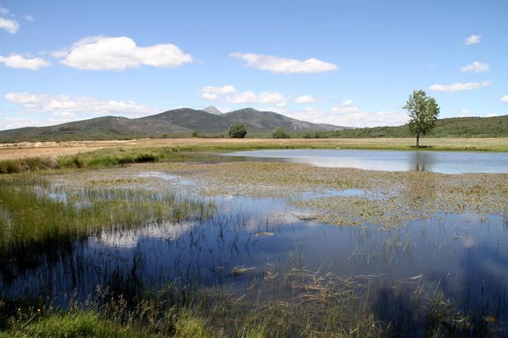 ADEL buscará familias para repoblar la Sierra Norte de Guadalajara 