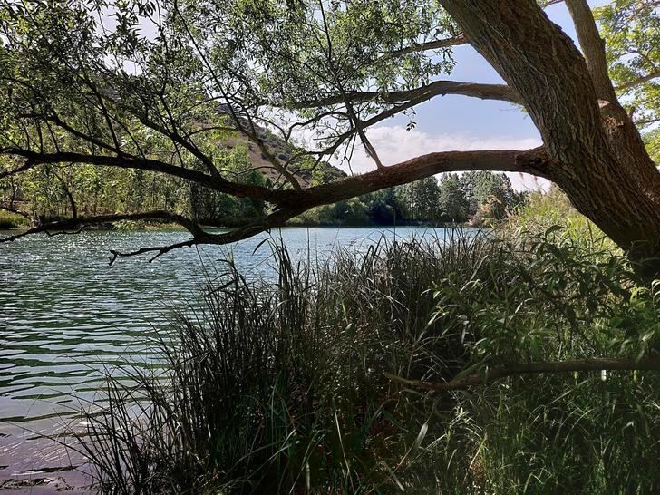 La Sierra de Pela y la Laguna de Somolinos: Monumento natural 