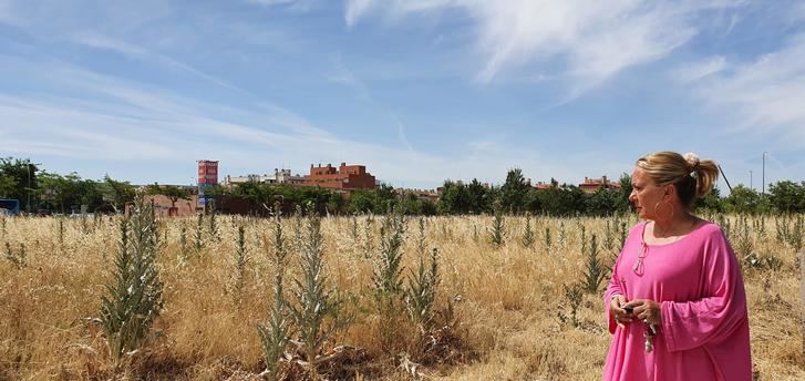 El PP de Azuqueca alerta del peligro de los solares invadidos de maleza y exige al Gobierno municipal que tome medidas urgentes para su limpieza