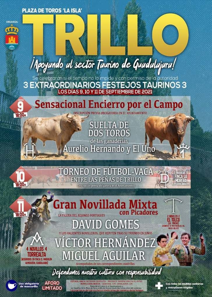 Trillo celebrará un programa de actos ‘apto’ para tiempos de pandemia con motivo de la festividad de su patrona, la Virgen del Campo