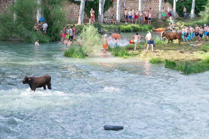 Unas 9.000 personas se congregaron en Trillo para disfrutar de una multitudinaria y exitosa edición de las Vacas por el Tajo