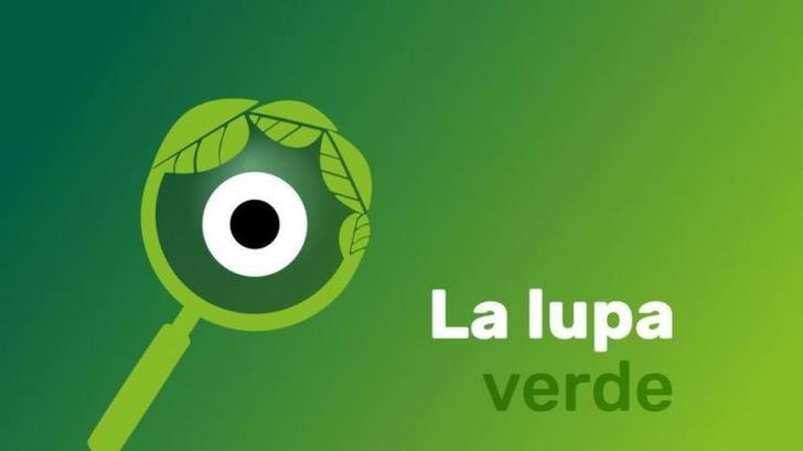 La Lupa Verde: Greenpeace vigilará que la recuperación económica sea verde y justa