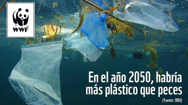 Producir plástico le cuesta al mundo más de 3 billones de euros al año