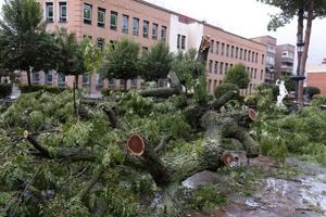 La borrasca "Herminia" deja 8 incidencias en Castilla La Mancha, dos en Guadalajara, durante la noche sin provocar ningún herido