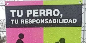 El Casar lanza campaña sobre tenencia responsable de perros