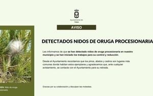 Detectan nidos de oruga procesionaria en el municipio