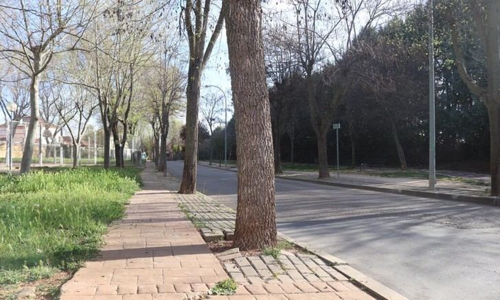 Inicia la reforma de la calle Lope de Vega en Cabanillas del Campo