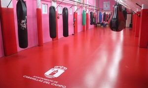 Cabanillas del Campo inaugura moderna sala de boxeo y artes marciales