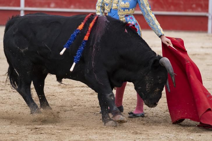 El Premio Nacional de Tauromaquia 2024 convocado por el Senado y varias Comunidades Autónomas se falla este martes en Toledo