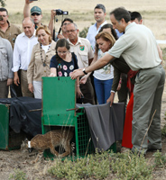 Cospedal agradece el trabajo realizado entre todos para la recuperación del lince ibérico