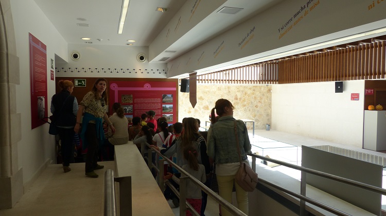 Grupos de niños ya han visitado sus instalaciones Grupos de niños ya han visitado sus instalaciones